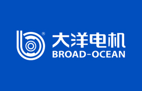16大洋电机